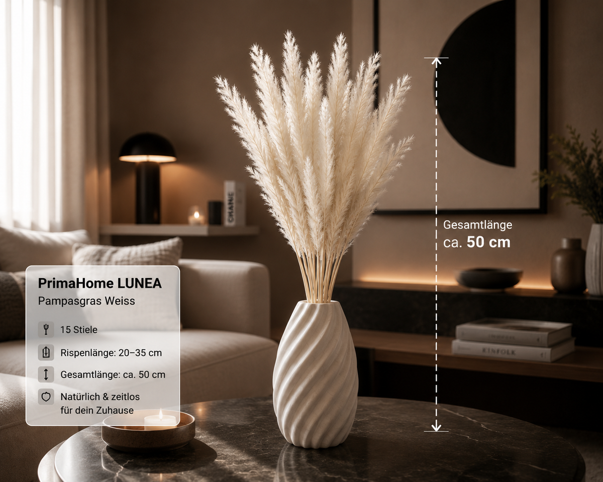 PrimaHome LUNEA – Pampasgras Weiss, 15 Stiele